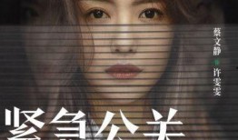 黄晓明爆料许雯雯视频播放,揭秘背后惊人内幕