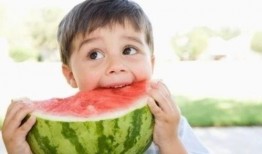 小宝带你吃瓜娱乐圈小说,瓜田里的那些事儿